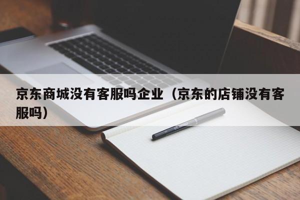京东商城没有客服吗企业（京东的店铺没有客服吗）