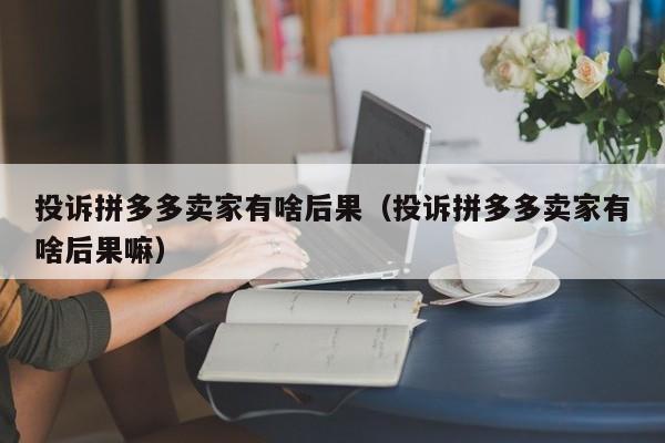 投诉拼多多卖家有啥后果（投诉拼多多卖家有啥后果嘛）
