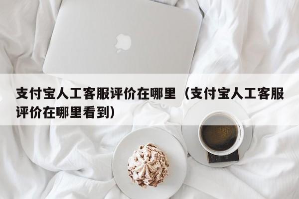支付宝人工客服评价在哪里（支付宝人工客服评价在哪里看到）