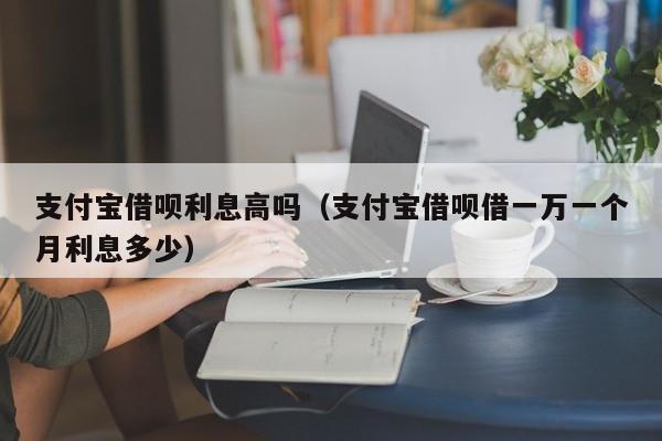 支付宝借呗利息高吗（支付宝借呗借一万一个月利息多少）