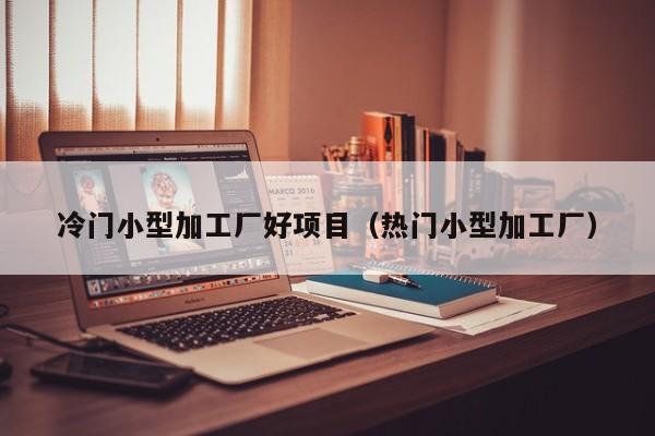 冷门小型加工厂好项目（热门小型加工厂）
