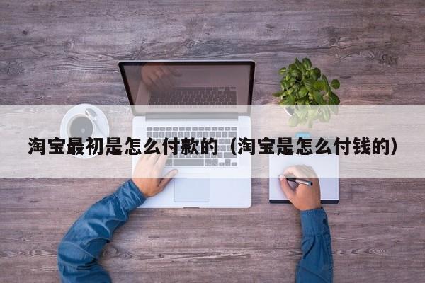 淘宝最初是怎么付款的（淘宝是怎么付钱的）