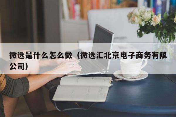 微选是什么怎么做（微选汇北京电子商务有限公司）