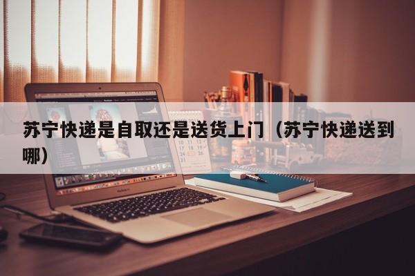 苏宁快递是自取还是送货上门（苏宁快递送到哪）