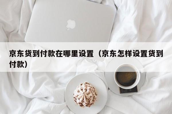 京东货到付款在哪里设置（京东怎样设置货到付款）