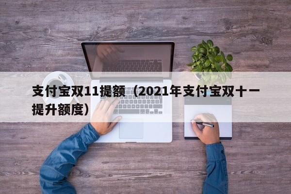 支付宝双11提额（2021年支付宝双十一提升额度）
