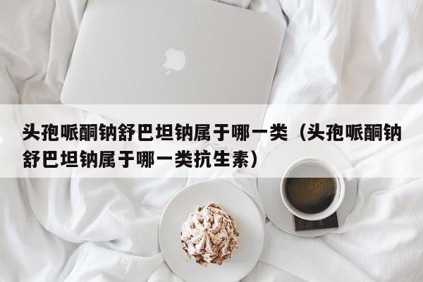 头孢哌酮钠舒巴坦钠属于哪一类（头孢哌酮钠舒巴坦钠属于哪一类抗生素）