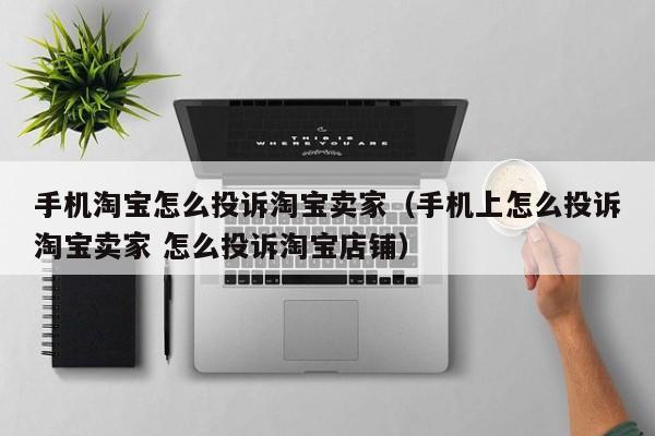 手机淘宝怎么投诉淘宝卖家（手机上怎么投诉淘宝卖家 怎么投诉淘宝店铺）