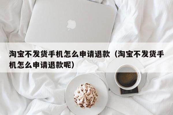 淘宝不发货手机怎么申请退款（淘宝不发货手机怎么申请退款呢）