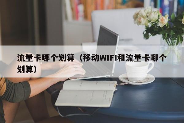 流量卡哪个划算（移动wifi和流量卡哪个划算）