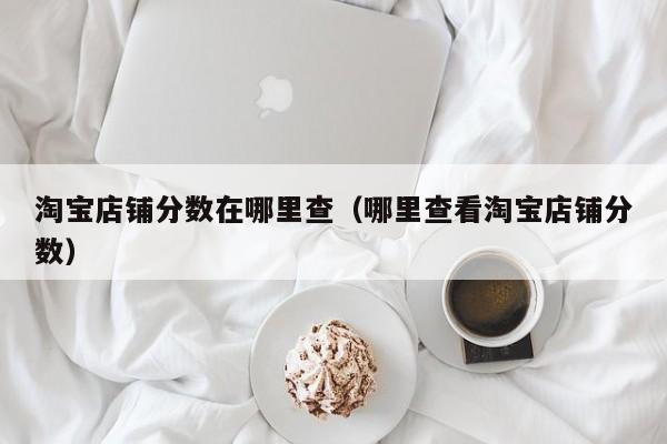 淘宝店铺分数在哪里查（哪里查看淘宝店铺分数）