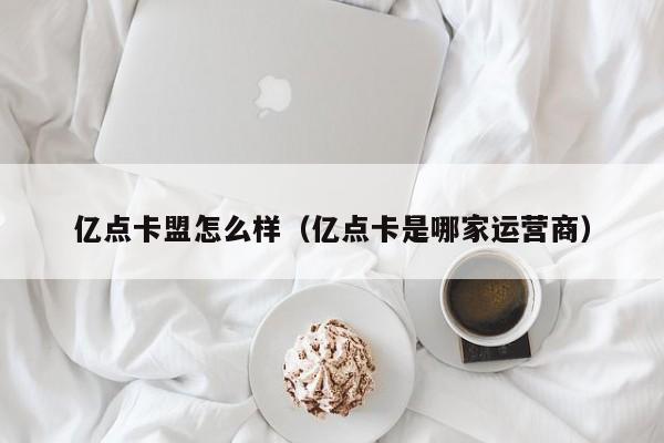 亿点卡盟怎么样（亿点卡是哪家运营商）