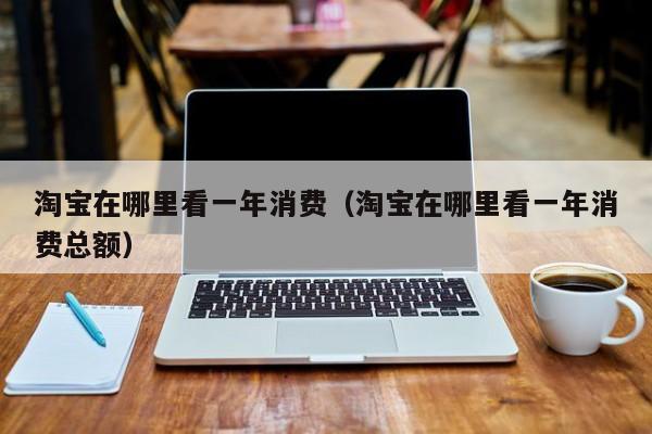 淘宝在哪里看一年消费（淘宝在哪里看一年消费总额）