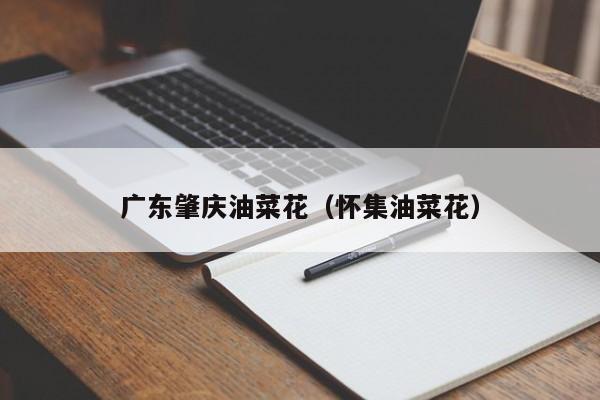 广东肇庆油菜花（怀集油菜花）